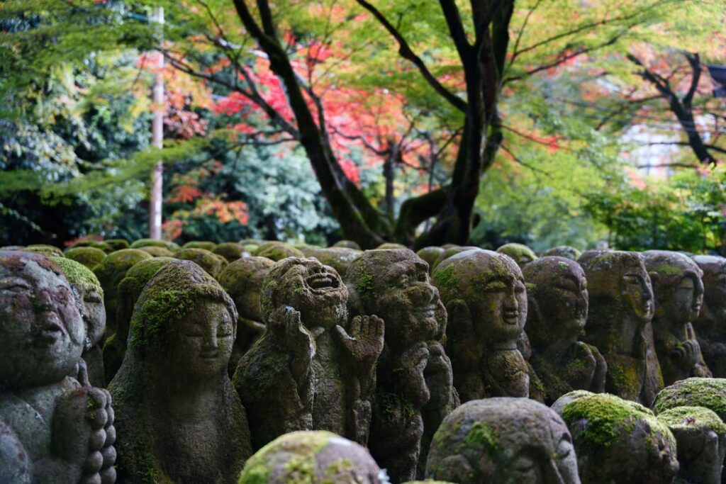 Every stone has a different face — Otagi Nenbutsuji Temple, Kyoto