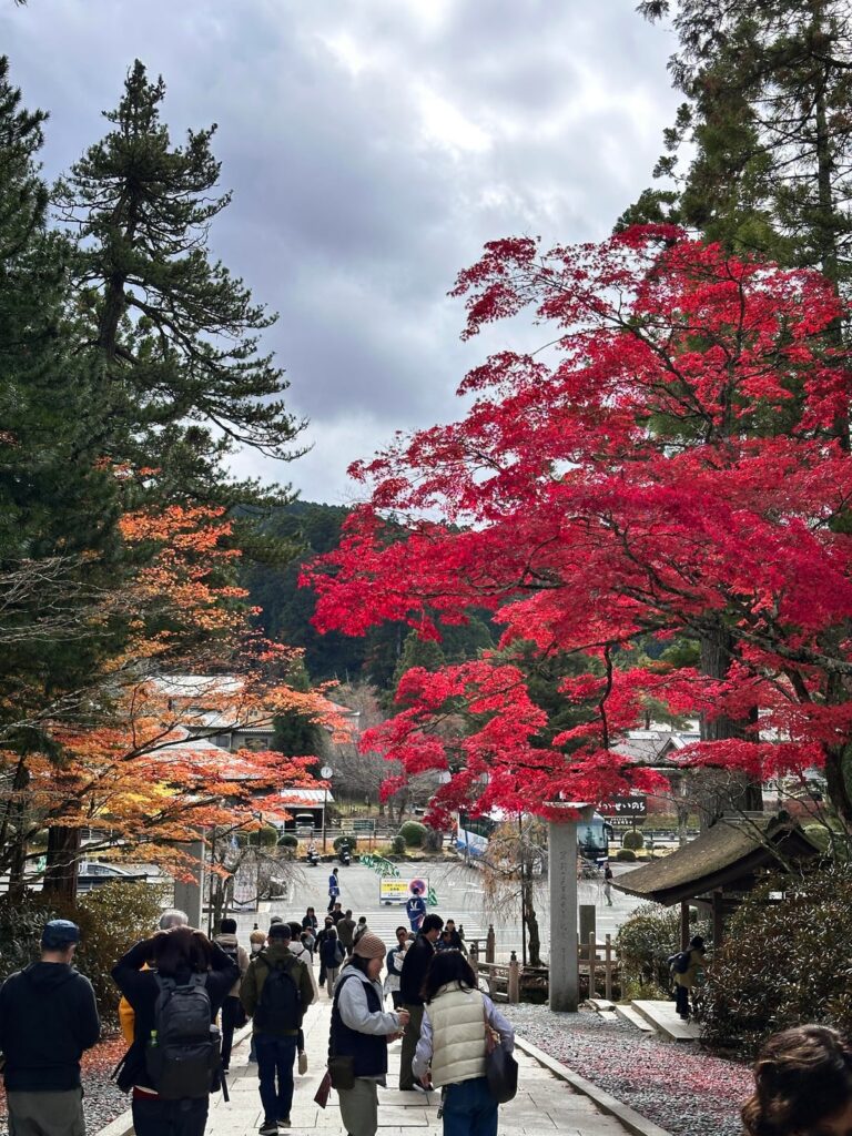 My trip to Koyasan…a reminder that while the world changes, some things remain timeless!