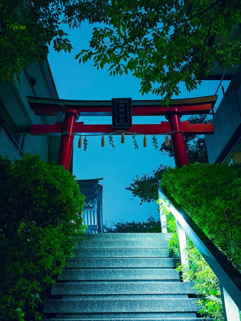 Few favourite flicks from my trip over Japan