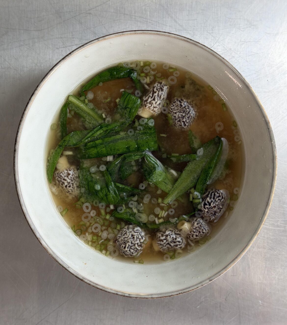 Made a miso nabe with morels and ramps I foraged