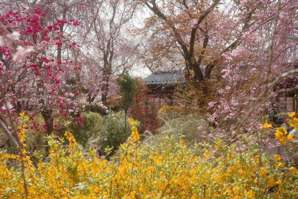 Gardens of Kyoto: Haradani-en