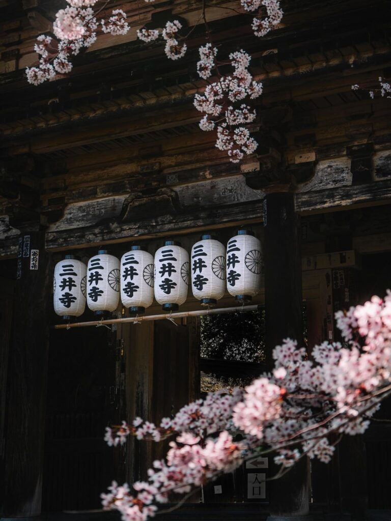 Cherry blossom pics I've taken over the years Pt.3