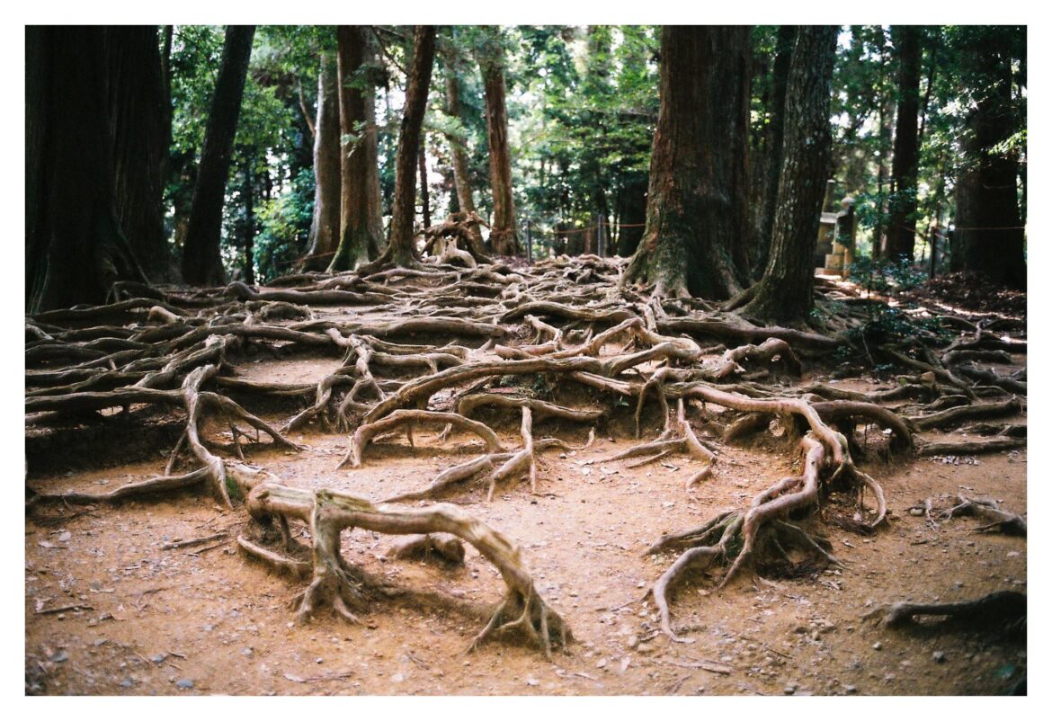 Kuramadera | October 2025