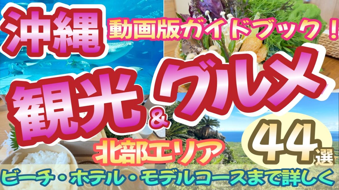 【沖縄観光ガイドの決定版！】北部エリアの観光スポット・グルメなどのエリア情報をまるっと一本に！旅行前、観光中の情報収集にお役立て下さい。|沖縄観光|沖縄旅行