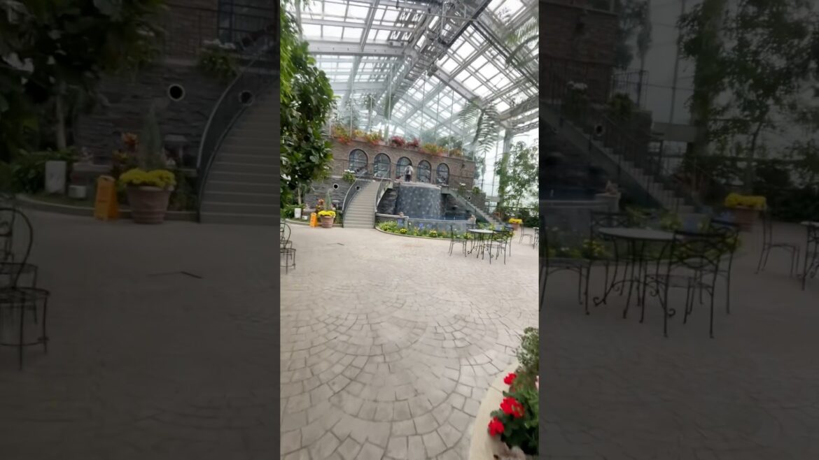 Hamamatsu flower park
