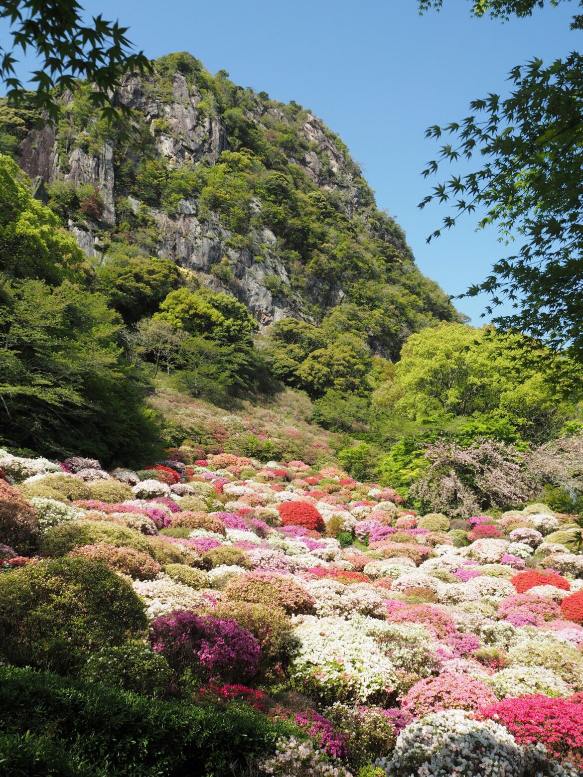 Mifuneyama Rakuen, Takeo Onsen, Saga Prefecture - 16 April 2026