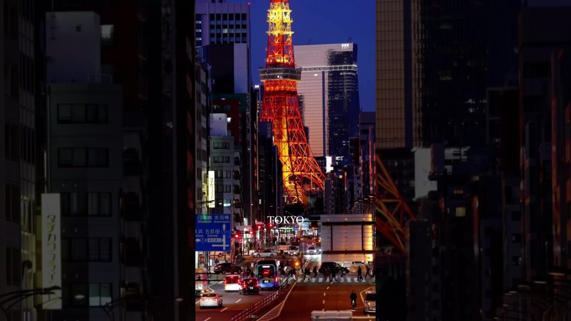 All About Tokyo Japan 🇯🇵 Night City Temples Nature Travel Guide #japantravel #japan #tokyo All About Tokyo Japan 🇯🇵 Night City Temples Nature Travel Guide #japantravel #japan #tokyo