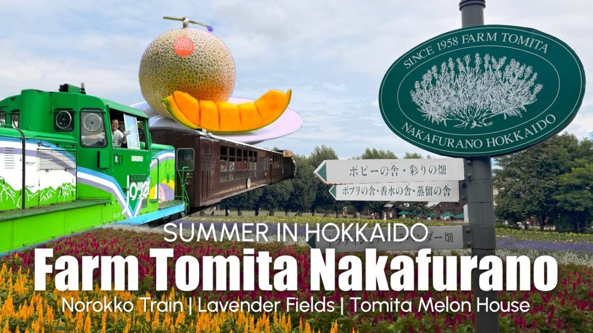 Summer in Hokkaido ☀️ Day trip to Farm Tomita, riding the Norokko Train, Tomita House of Melon