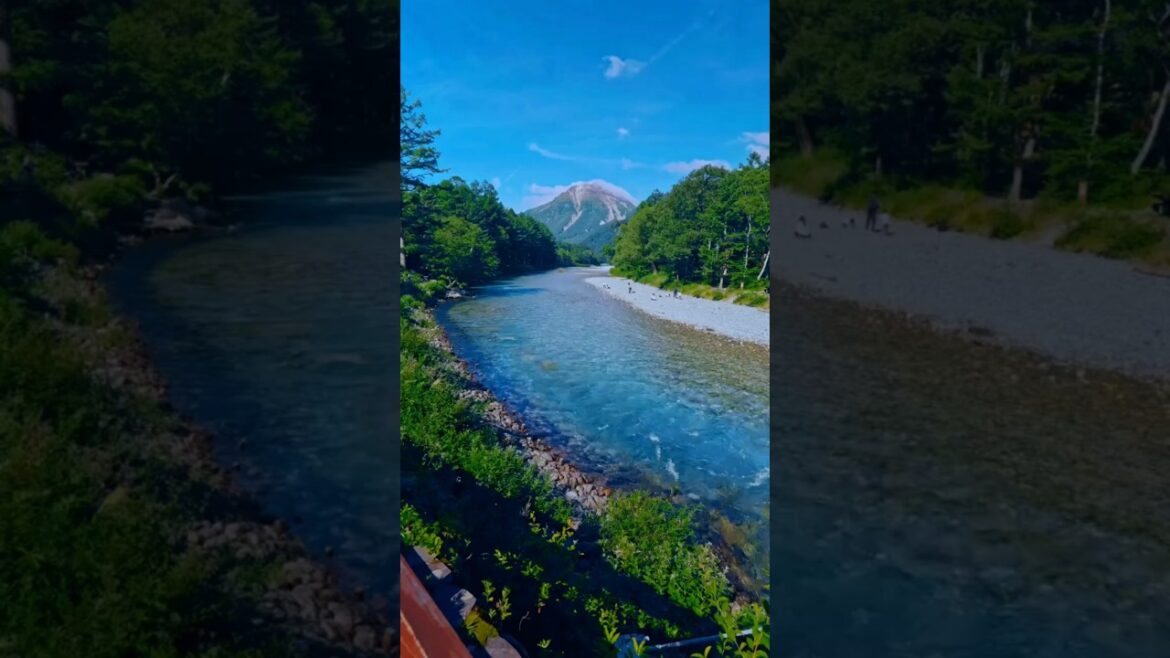 Ultimate Japan Travel Guide 🇯🇵 Best Places Tokyo Kyoto Fuji Nature Onsen #japantravel #japan #tokyo