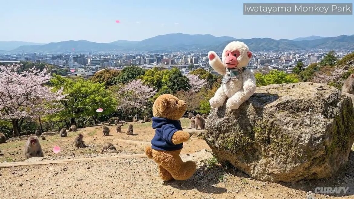 Bearimus in Kyoto, Japan Bearimus in Kyoto, Japan