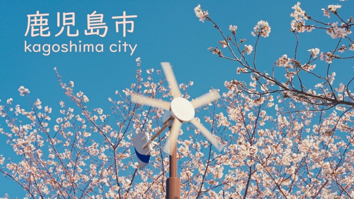 Kagoshima City Cherry Blossom 2026, Japan Kagoshima City Cherry Blossom 2026, Japan