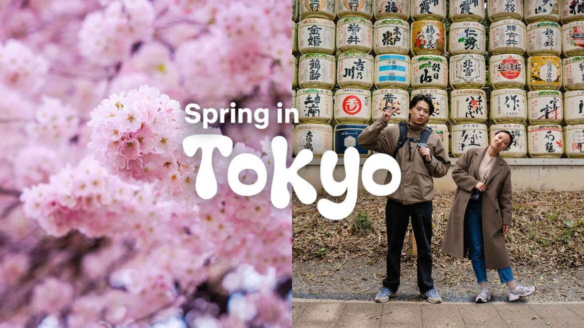 4 Days in Tokyo - Cherry Blossom in Japan (Spring)