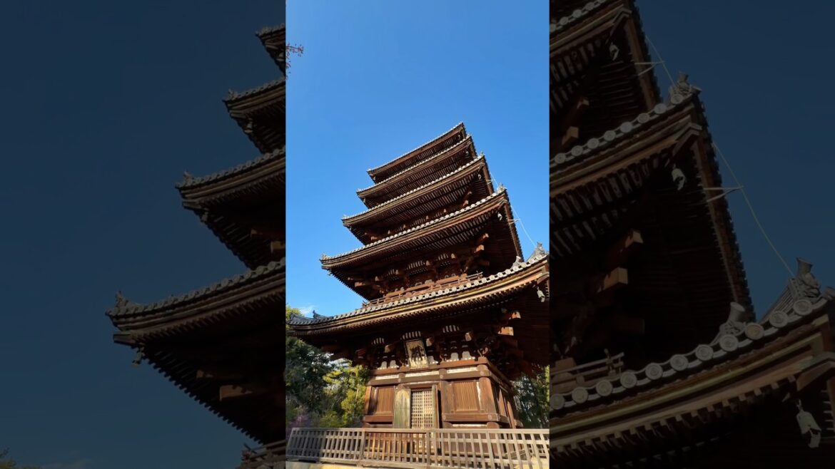 Ninna-ji Temple | Kyoto Morning Walk |