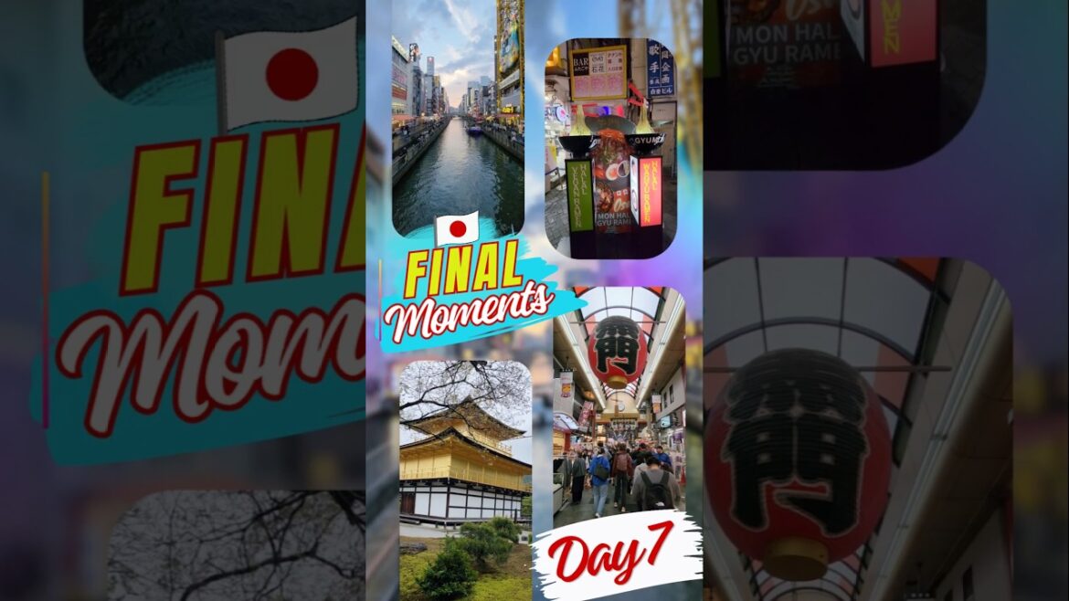 Ep7 - The Final Chapter of the Journey #japan #vlog #shorts