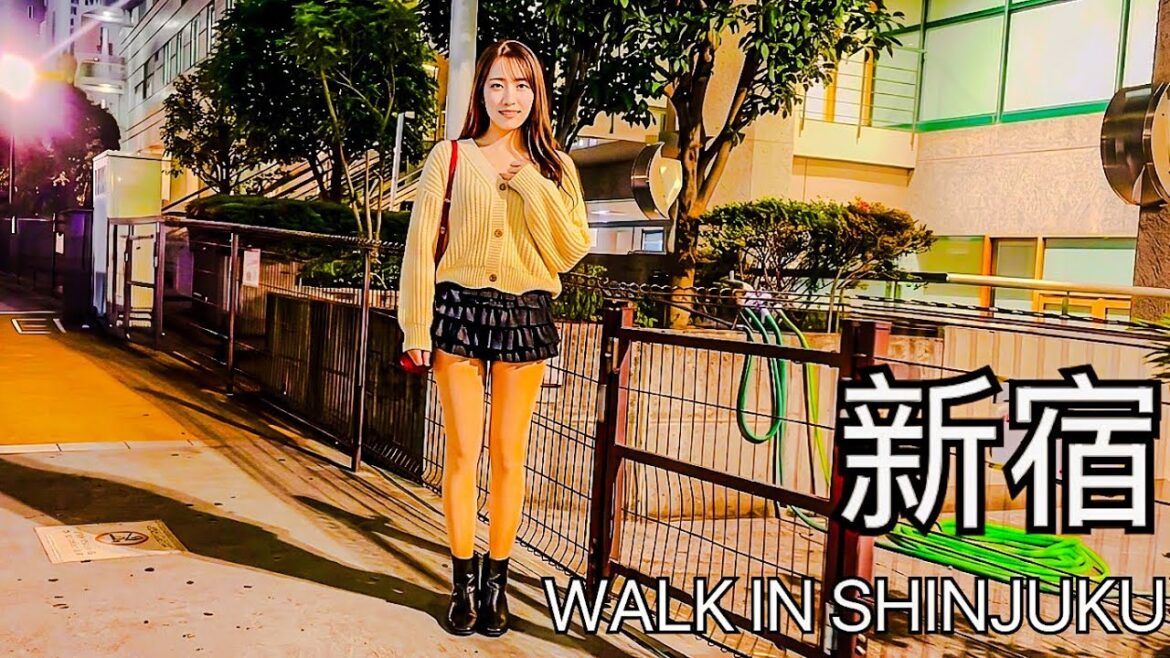 大久保公園新宿 Okubo Park Shinjuku Dark Night Walk