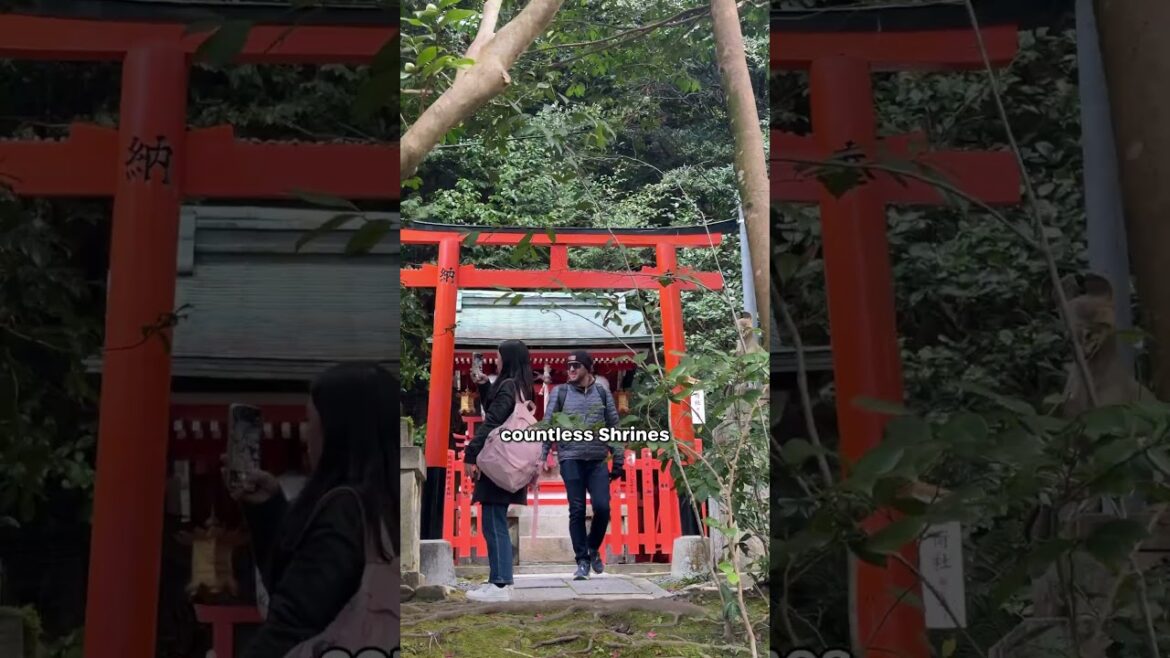 How to explore Kyoto, Japan | Local Tips #shorts