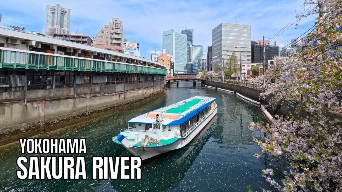 YOKOHAMA JAPAN 4K ASMR Walking Tour – Exploring Sakura River & Historic Bashamichi YOKOHAMA JAPAN 4K ASMR Walking Tour - Exploring Sakura River & Historic Bashamichi