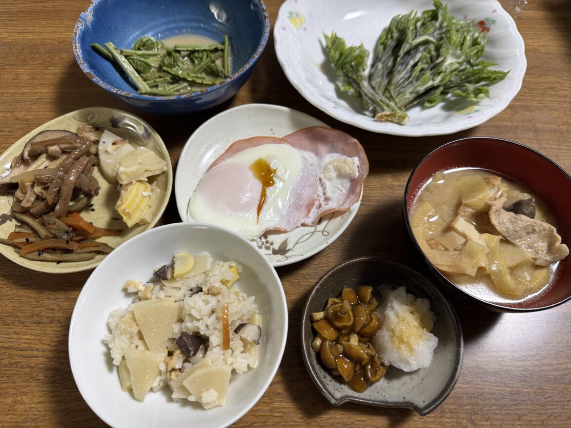 Yamagata sansai spring jpapanese home meal. Do you like sansai?