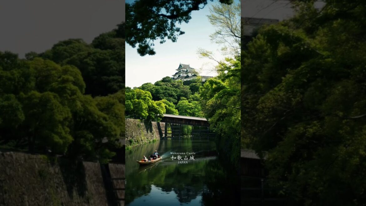 Wakayama Castle Japan 🇯🇵 Scenic Landscape Historic Castle View #japantravel #japan #wakayama
