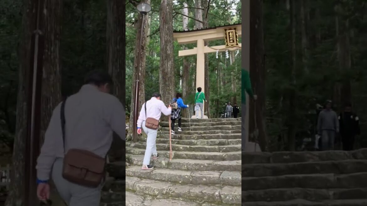 3 Days in Wakayama: Japan's SECRET Ancient Paradise Revealed!