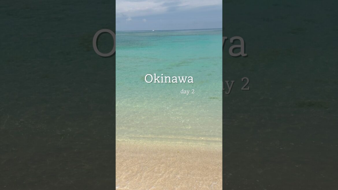 오키나와 이렇게 돌면 성공👍🏻 나하에서 나고로!! #오키나와 #오키나와여행 #okinawa