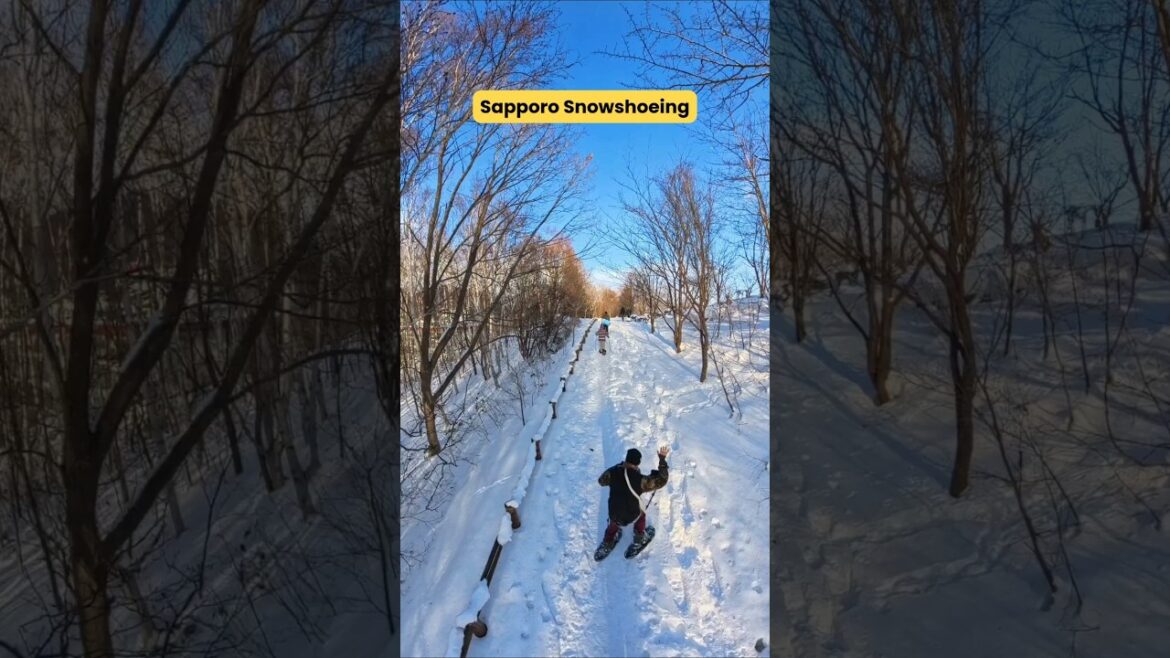 SAPPORO'S Winter Wonderland Adventure Awaits!