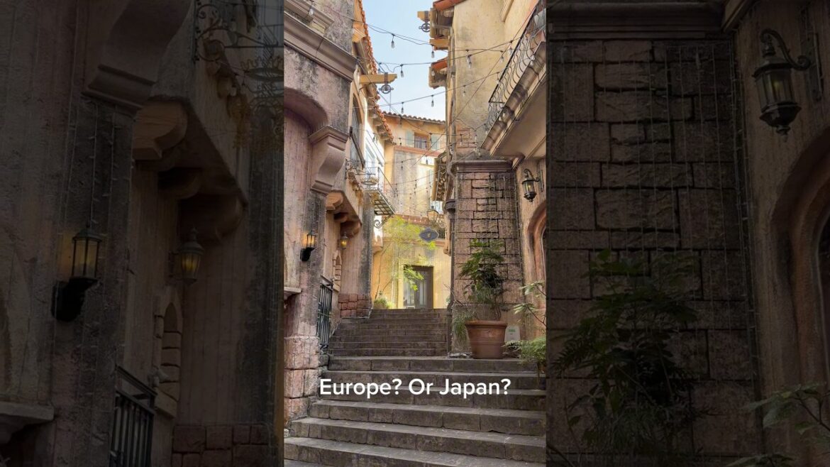 Europe? Or Japan? Find out more from the link for full video!