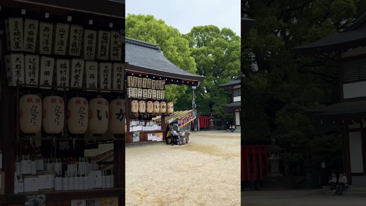 【KYOTO】 Must-See Hidden Gems - Fujinomori Shrine