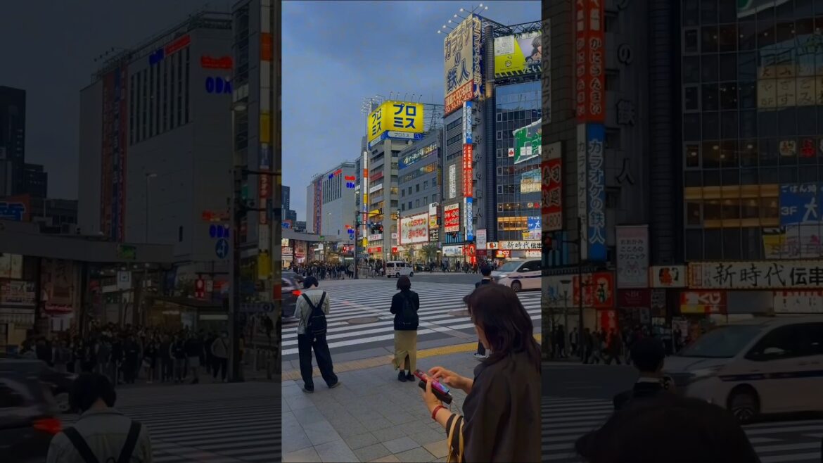 Shibuya Crossing Tokyo 🇯🇵 | World’s Busiest Intersection in Action!#shorts #travel #city Shibuya Crossing Tokyo 🇯🇵 | World’s Busiest Intersection in Action!#shorts #travel #city