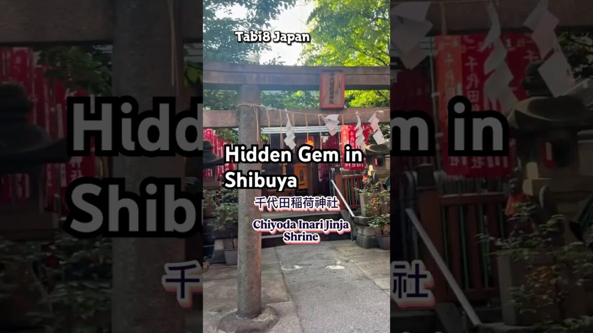 穴場スポット千代田稲荷神社渋谷東京#千代田稲荷神社#穴場スポット神社#渋谷神社