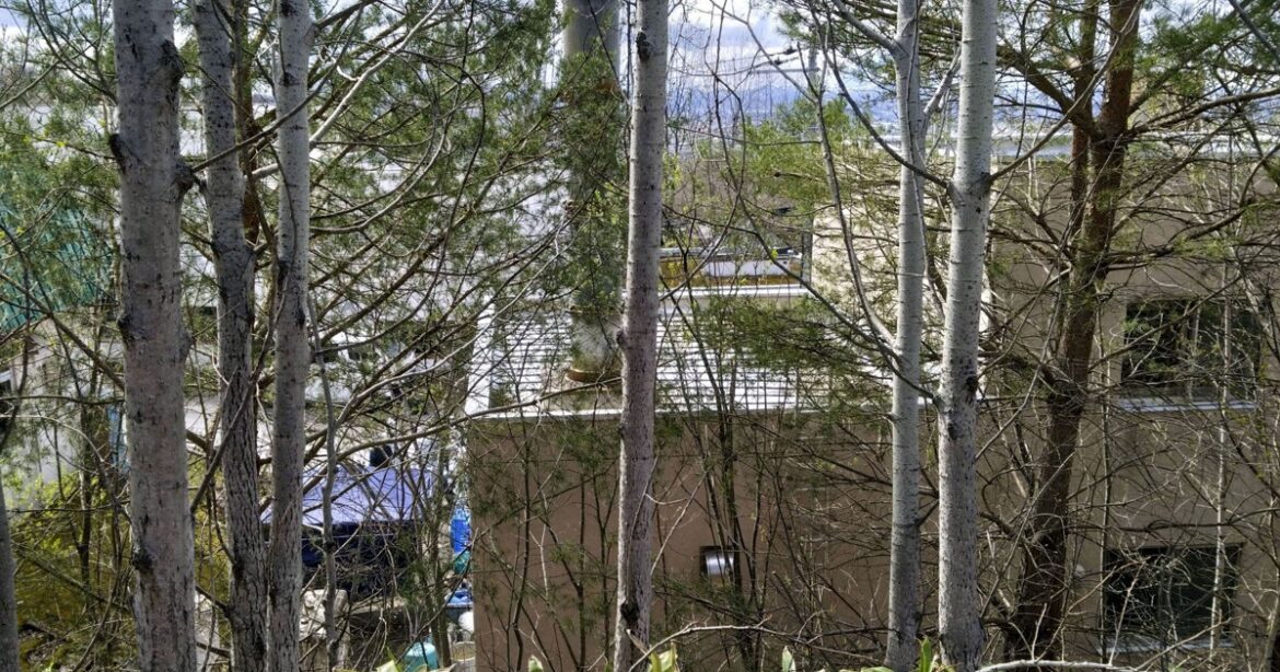 Hokkaido zoo worker suspected of dumping woman’s body in incinerator Hokkaido zoo worker suspected of dumping woman's body in incinerator