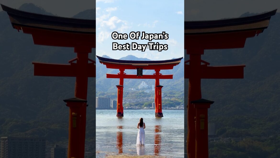 Japan’s best day trip! #japantravel #hiroshima #miyajima