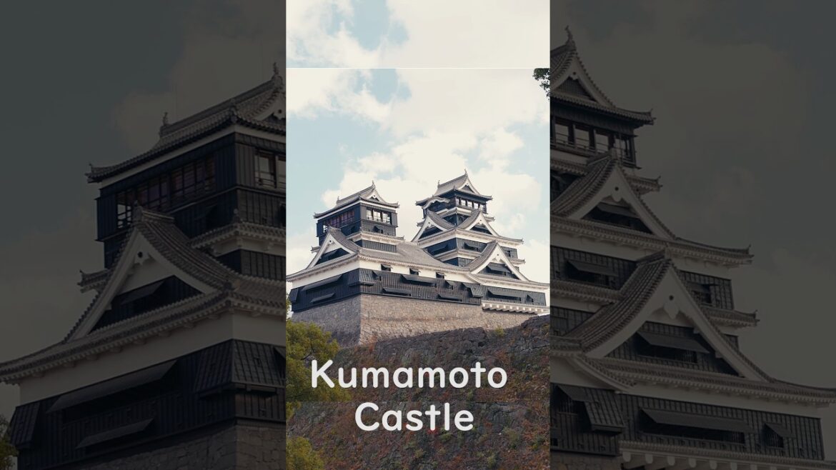 Tour Kumamoto Castle & Make Art
