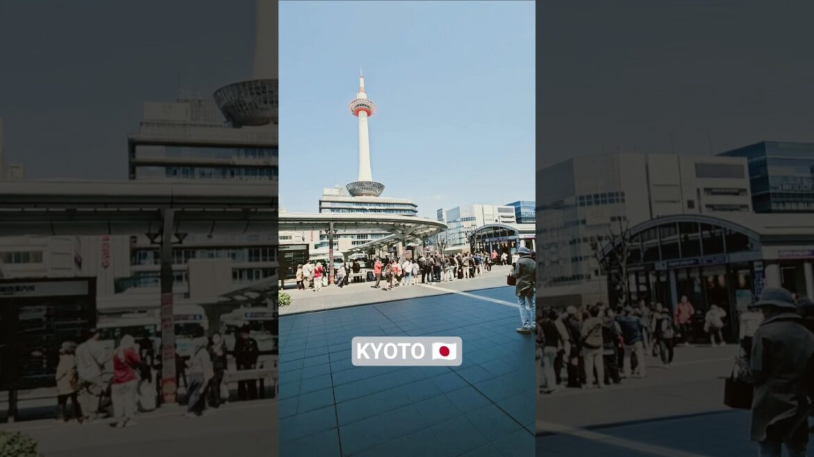 A day in Osaka and Kyoto #travel #japan #japan #blossom #japantravel #kyoto #ilovejapan