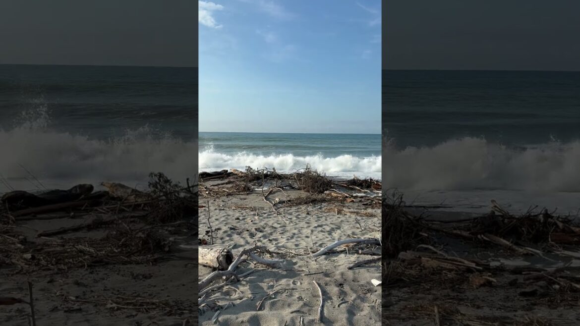 Today’s ocean wave at Ryuyo beach Iwata city Shizuoka pref.