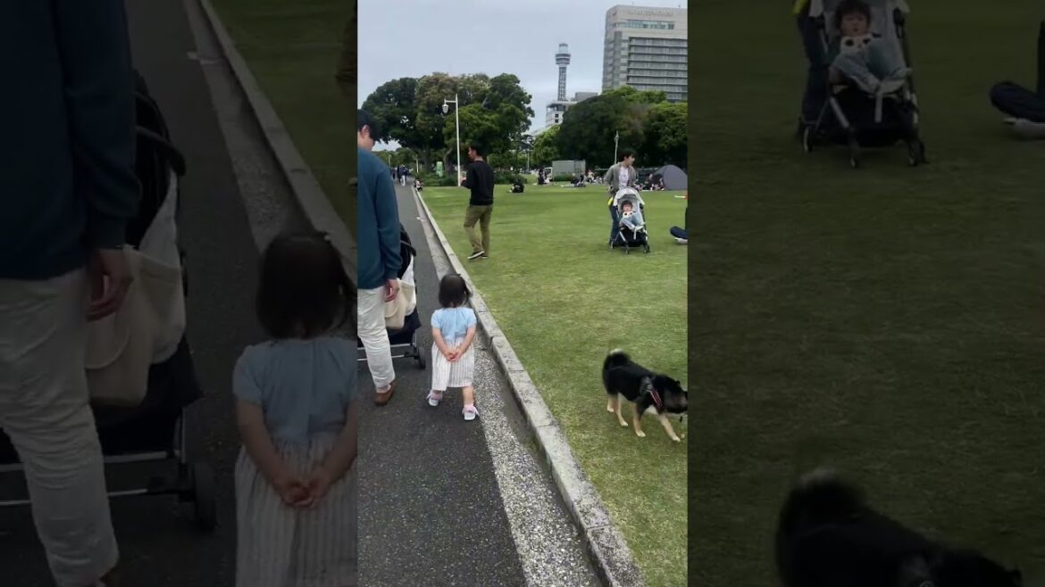 Why Japan Feels So Different and peaceful 🇯🇵 #japan #travel #parks