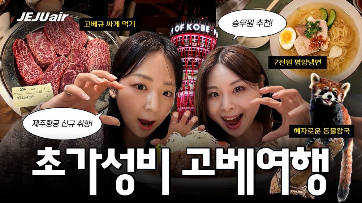 앗! 일본 여행 타이어보다 싸다?! | 저렴한 항공권으로 떠나는 초가성비 고베 여행 (+승무원 꿀팁 공개!) 앗! 일본 여행 타이어보다 싸다?! | 저렴한 항공권으로 떠나는 초가성비 고베 여행 (+승무원 꿀팁 공개!)
