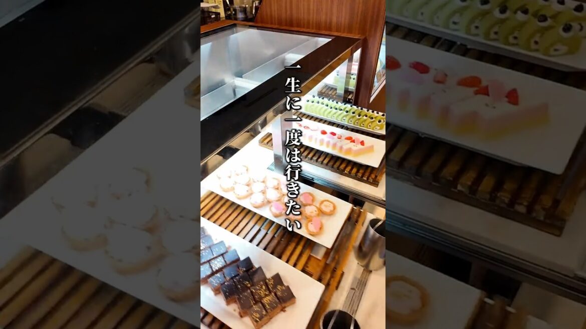 【オススメ】日帰りで楽しめる箱根旅