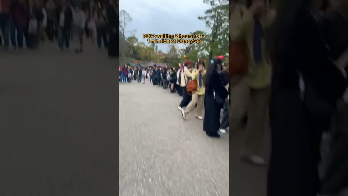 POV: every ride at DisneySea π #japan #japantravel #tokyodisneysea #ytshorts #viralshorts POV: every ride at DisneySea π #japan #japantravel #tokyodisneysea #ytshorts #viralshorts