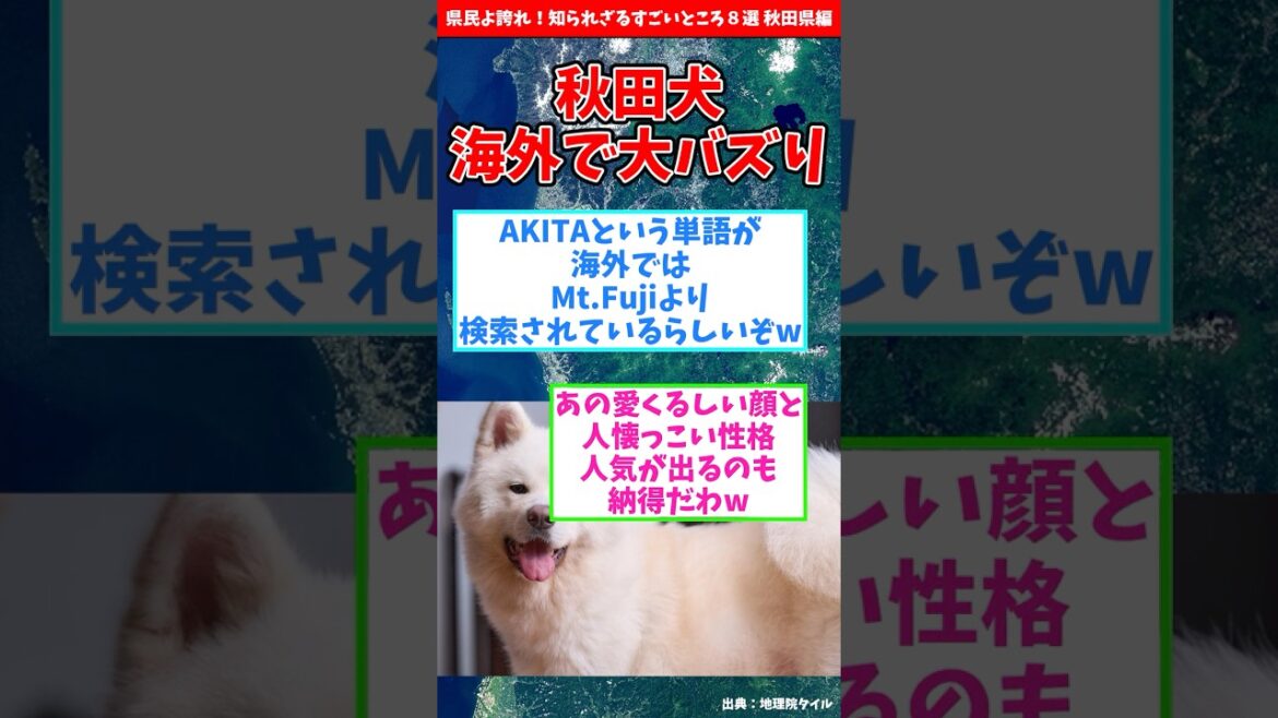 【秋田県】県民よ誇れ！知られざるすごいところ８選【都道府県別】 / Surprising Facts About Akita #shorts #秋田県