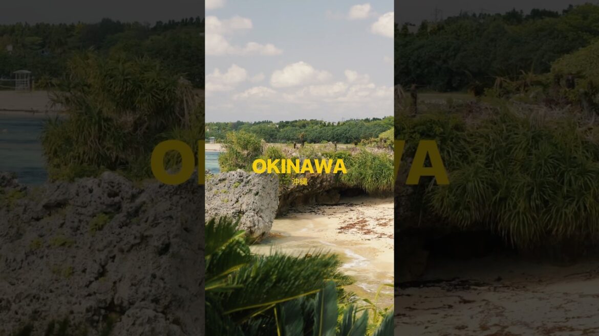 The Next Station is Okinawa🏝️🌊✨ #travel #okinawa