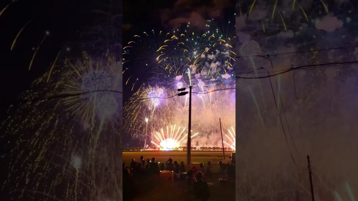 Omagari Fireworks Festival 2026 🎆 Japan National Fireworks Competition Akita #japantravel