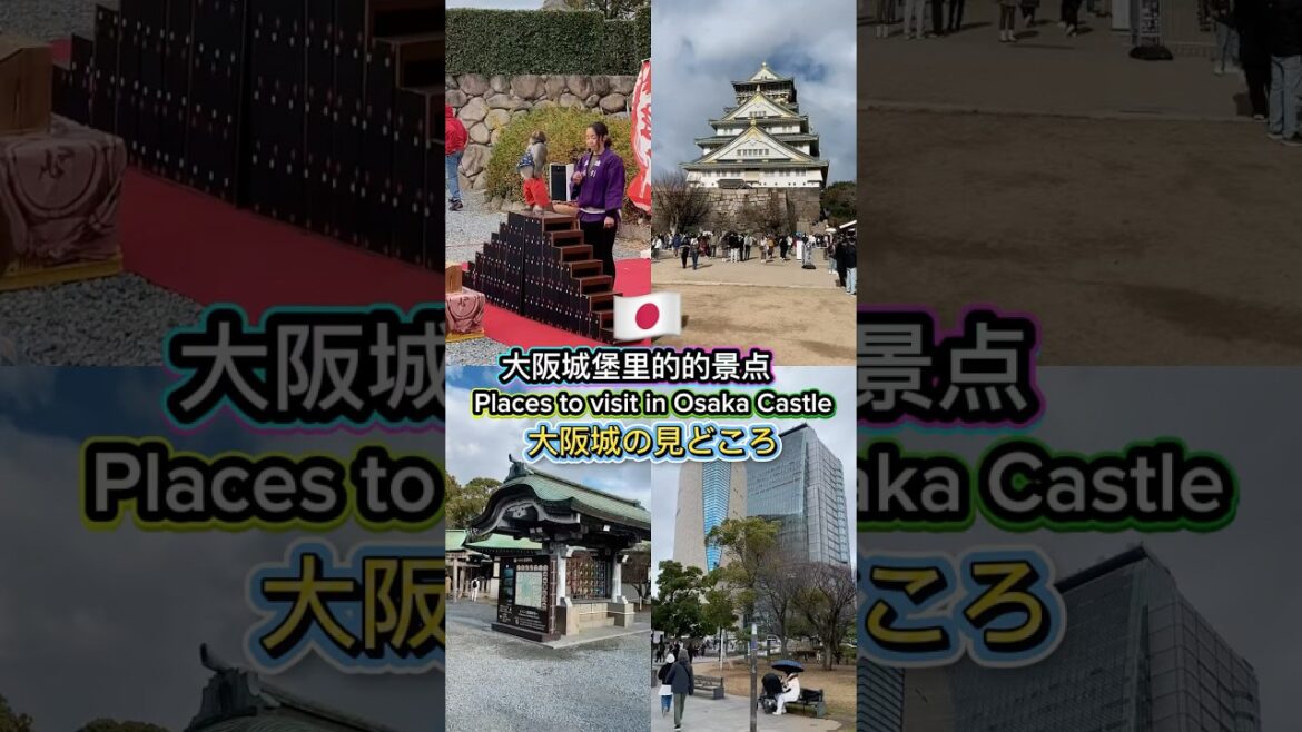 大阪城の見どころ Places to visit within the Osaka Castle & Park 🇯🇵 大阪城の見どころ Places to visit within the Osaka Castle & Park 🇯🇵