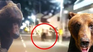 Camera Captures Bear Tearing Through Hokkaido Neighborhood Camera Captures Bear Tearing Through Hokkaido Neighborhood