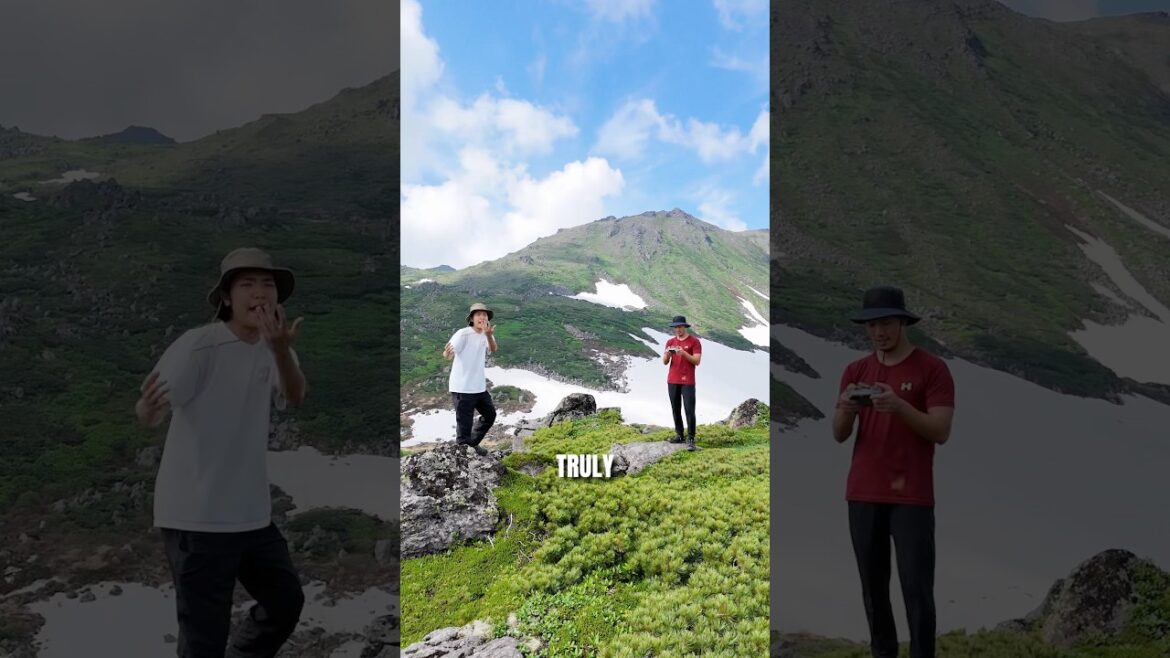 One day itinerary in Shiretoko, Hokkaido⛰️ #japantravel #japantrip #shiretoko One day itinerary in Shiretoko, Hokkaido⛰️ #japantravel #japantrip #shiretoko