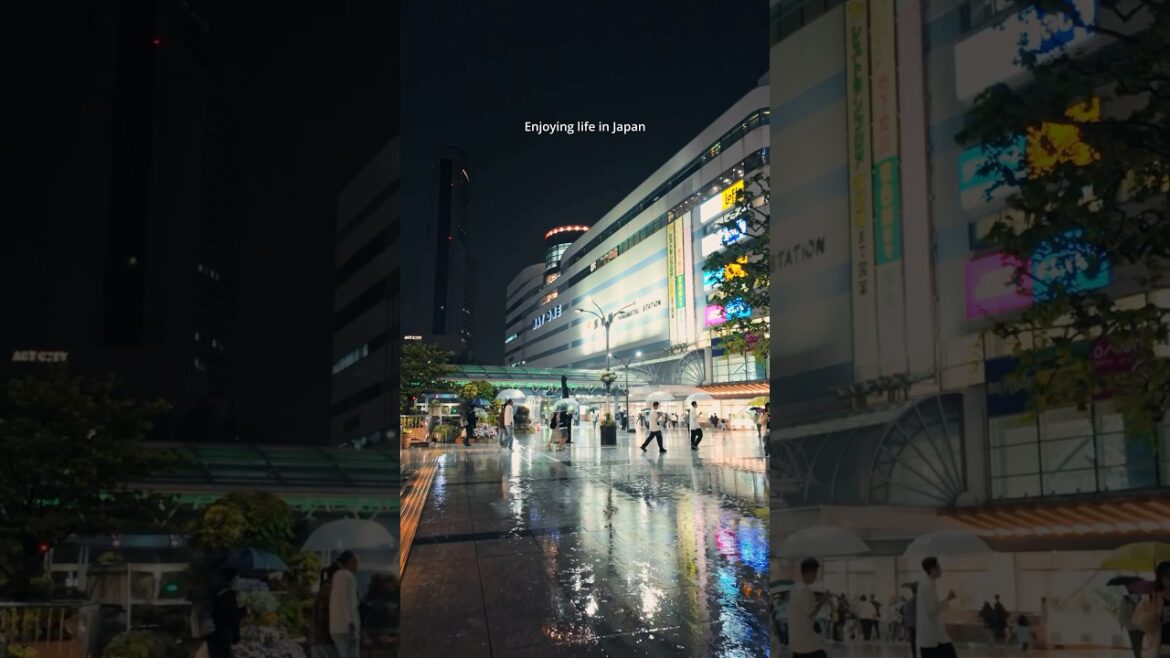 Rainy Night Walk in Hamamatsu city Japan 🇯🇵 #walk  #japan