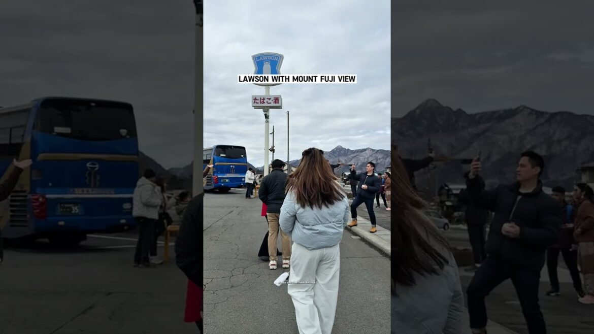 One day tour to Mt  Fuji visiting popular attractions #mtfujitour #tokyojapan #mtfuji #japantravel