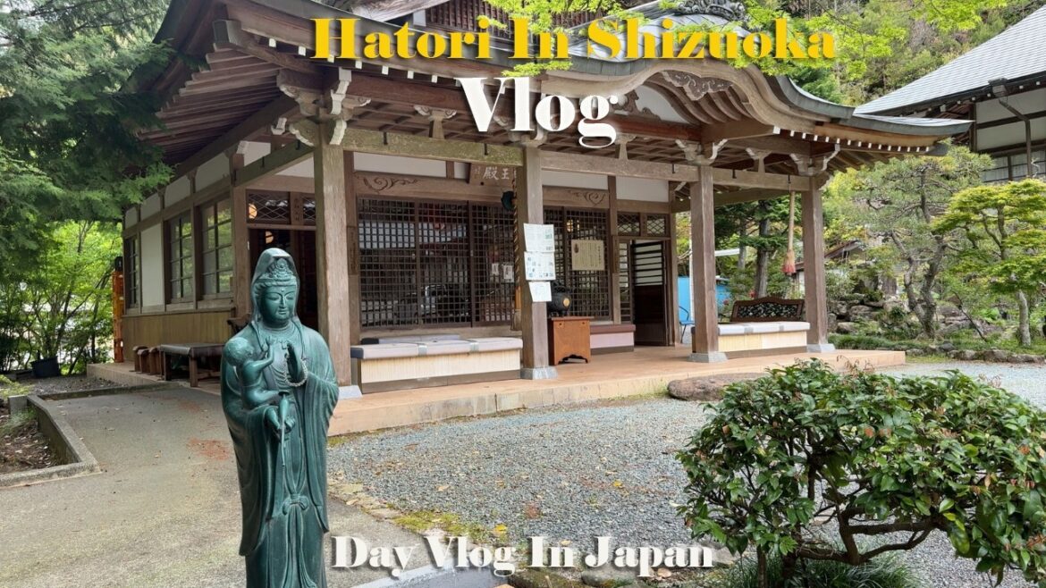 Hidden Japanese Village Life ⛩️🤍