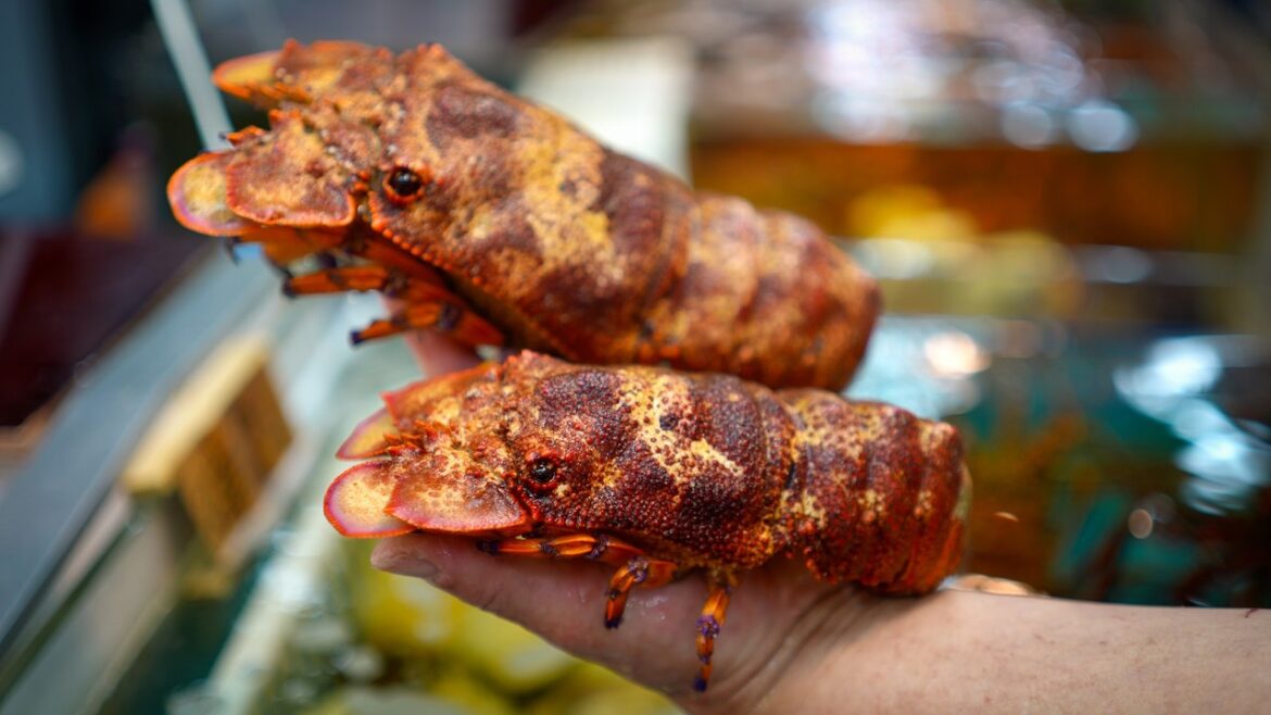 南国･沖縄の高級食材セミエビを喰らう！牧志公設市場で海鮮食材を購入して好みの料理に調理を依頼して味わえるサービスを体験 Seafood Market Semiebi, Okinawa, Japan