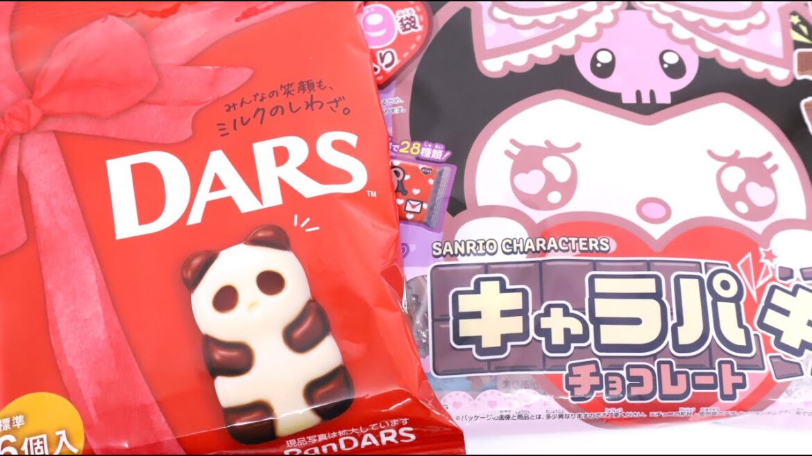 Panda Chocolate with Oreo Music Box and Sanrio Characters Charapaki Chocolate